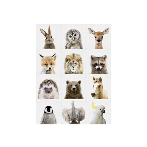 IXXI - Lila and Lola - Animal Family Collage